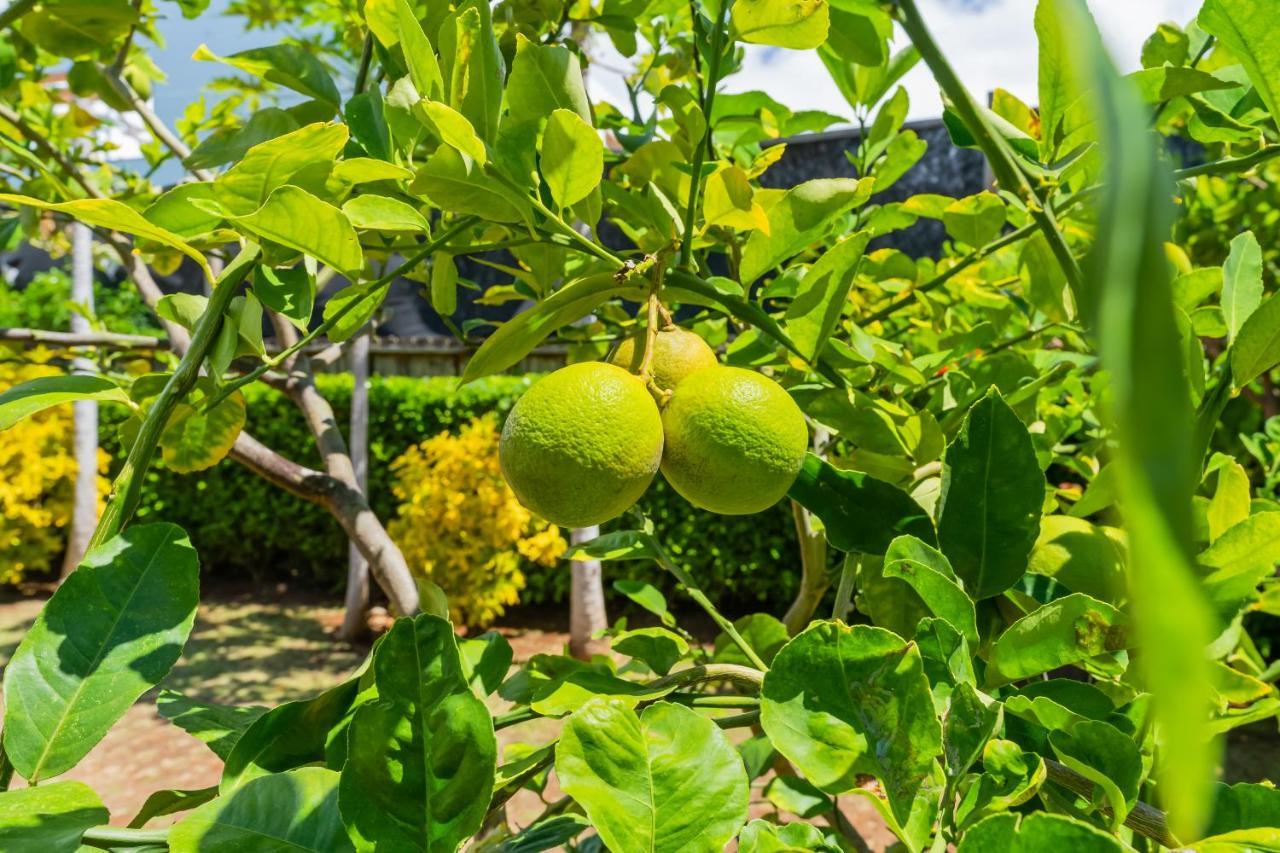 1730 Kaleka 4 Bed Poipu House, Guest House Walk To Beach Koloa Exteriér fotografie